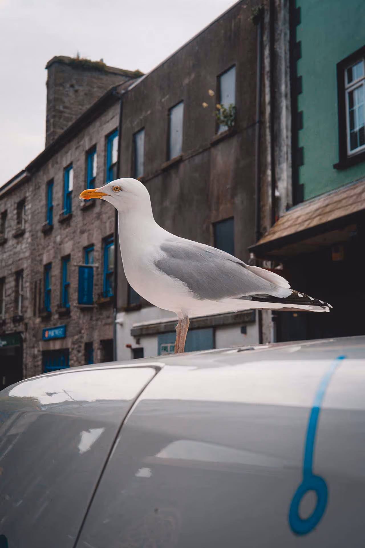 Photography of Galway