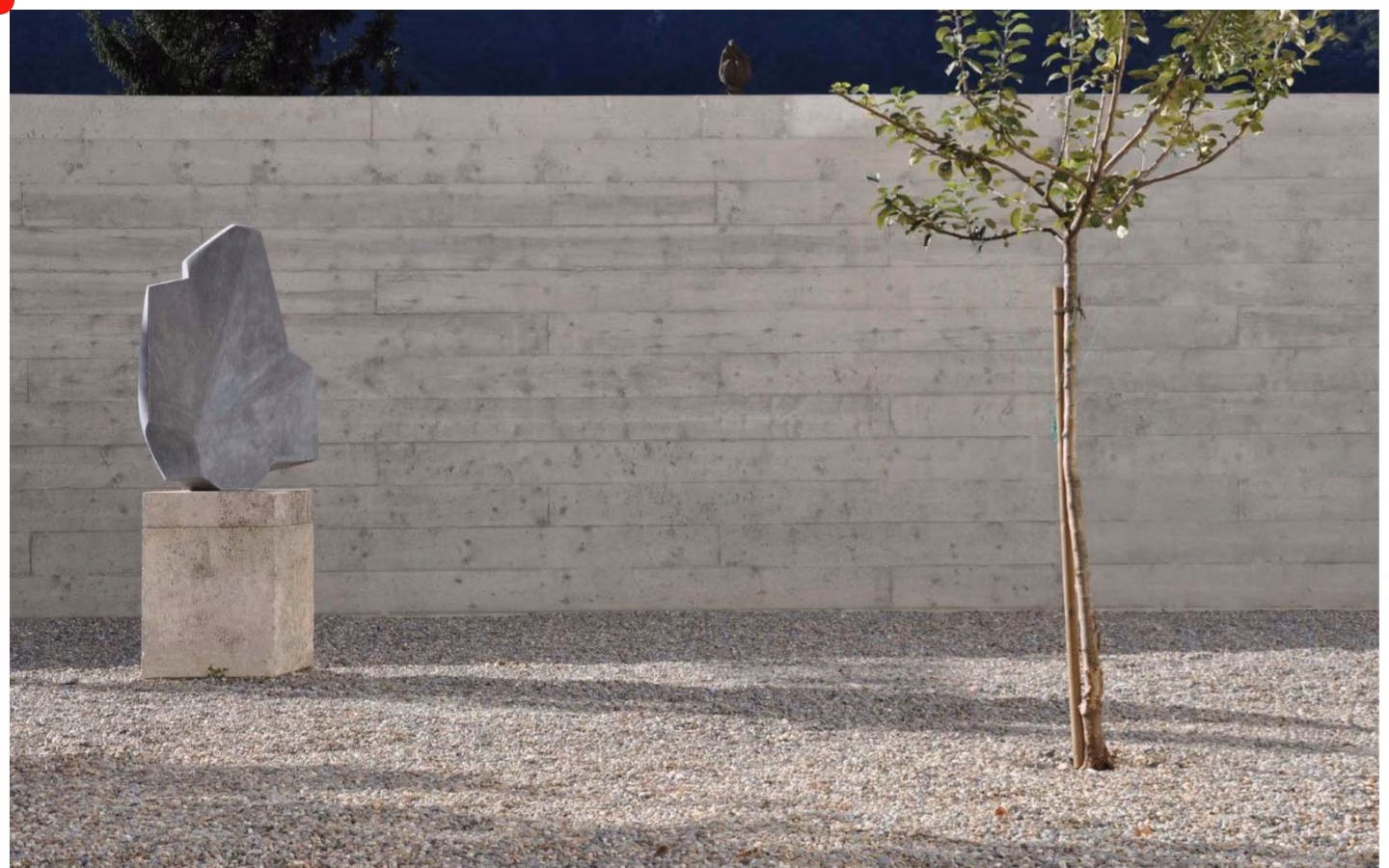 A stone sculpture and a young tree in front of a board-marked concrete wall.