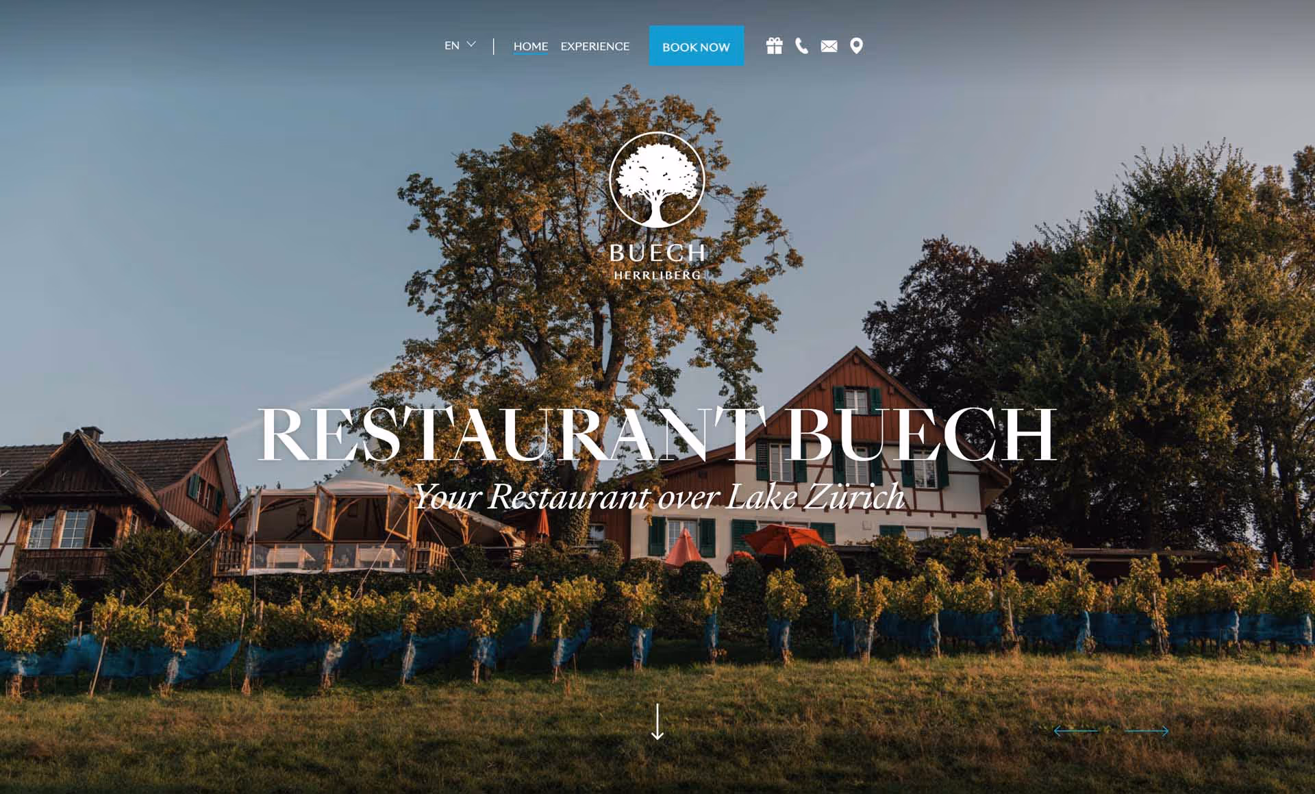 Traditional Swiss-style restaurant building surrounded by vineyard and large trees under a clear sky.