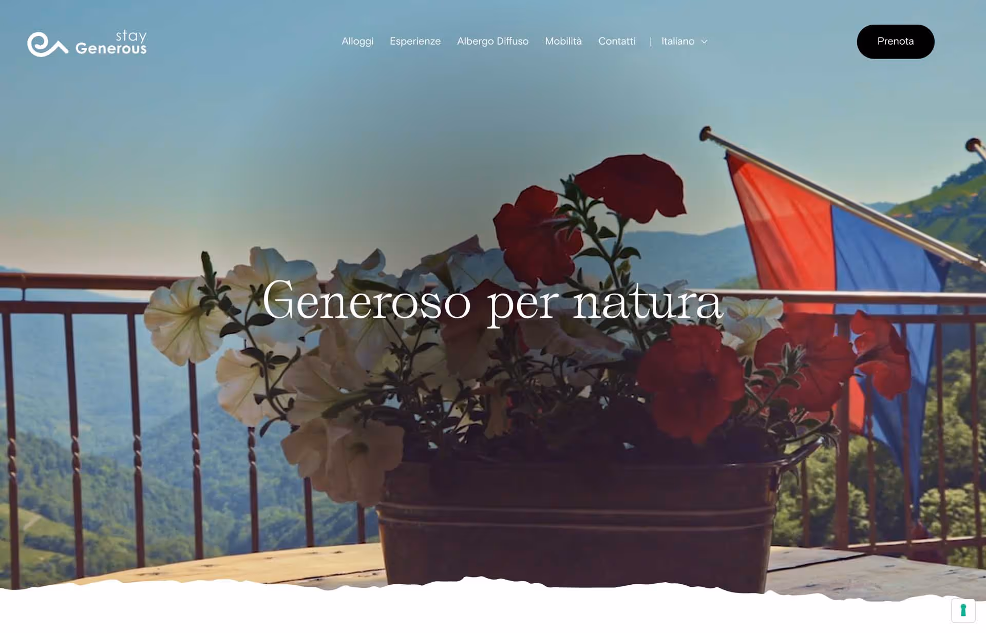 Potted red and white flowers on a wooden table with a mountainous landscape and a red and blue flag in the background.