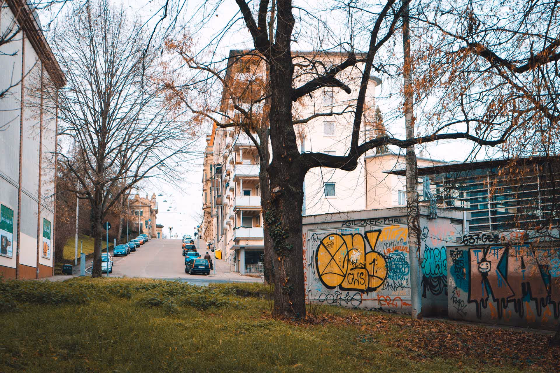 Urban street scene with parked cars on a hill, leafless trees, and a graffiti-covered wall in the foreground.