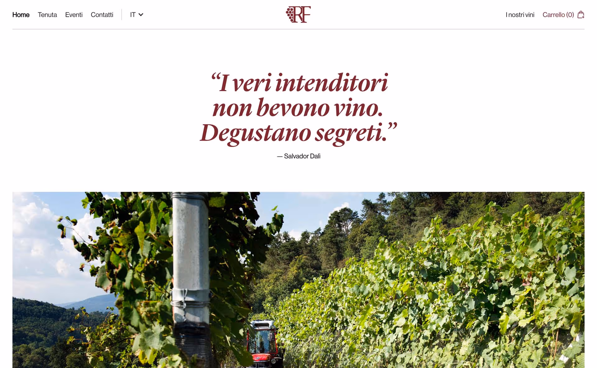 Website header with navigation links and a quote by Salvador Dalí about wine above a vineyard landscape.